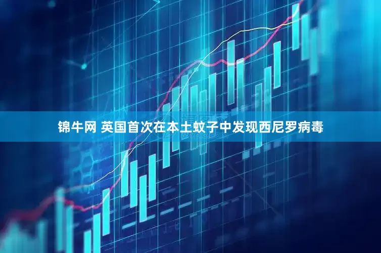锦牛网 英国首次在本土蚊子中发现西尼罗病毒