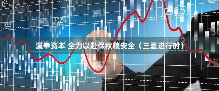 漢崋资本 全力以赴保秋粮安全（三夏进行时）